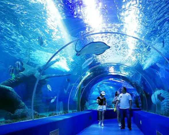 Schwerlastdichte Acrylfolie Groß transparentes Panel für Aquarien Ozeanarium Tunnel Unterwasser-Ansichtsfenster