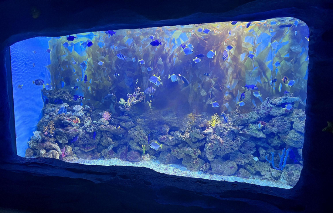 Schwerlastdichte Acrylfolie Groß transparentes Panel für Aquarien Ozeanarium Tunnel Unterwasser-Ansichtsfenster
